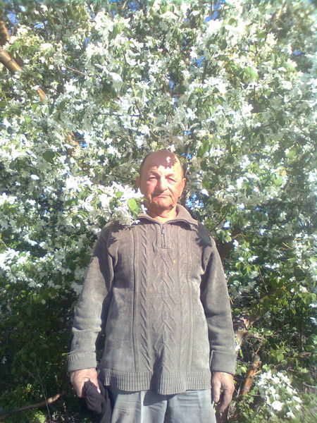 Александр Бражников