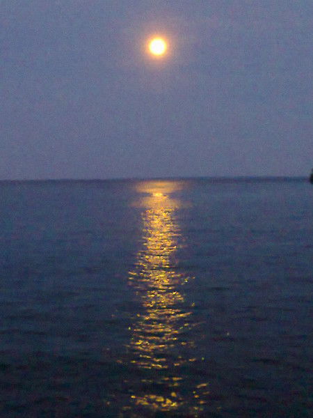 Сергей Лукащук