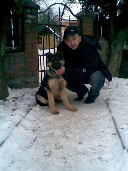 Гор Ставицький