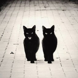 Маргарита Чеканова