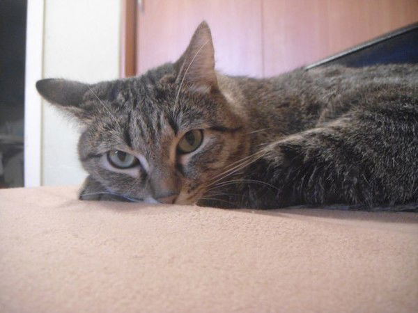 Женя Абрамова