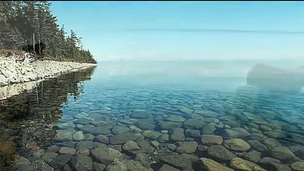 Федор Сизоненко