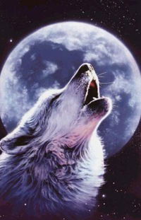 Денис Гридасов