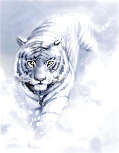 Неизвестно Неизвестно