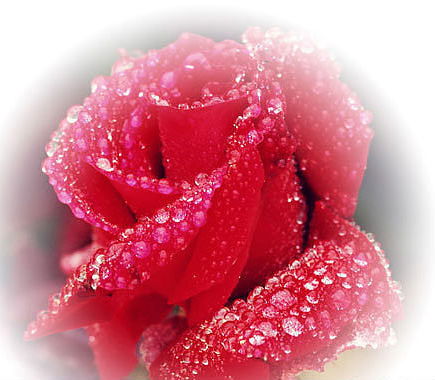 Татьяна Степанова (Бевзенко)