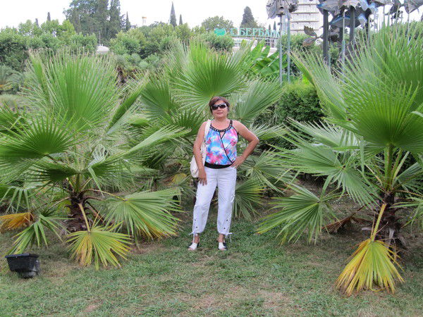 Татьяна Острохижко