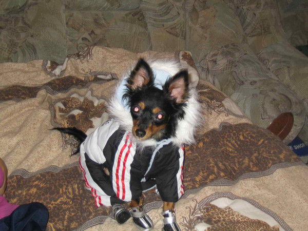 Наталья Тихонова