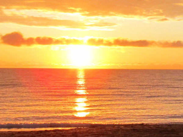 Ирина Михальская