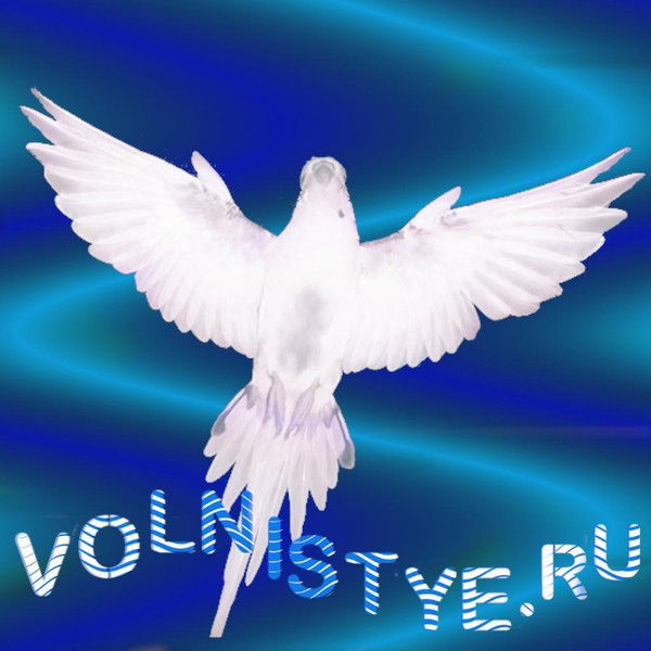 Дарья Могилевцева