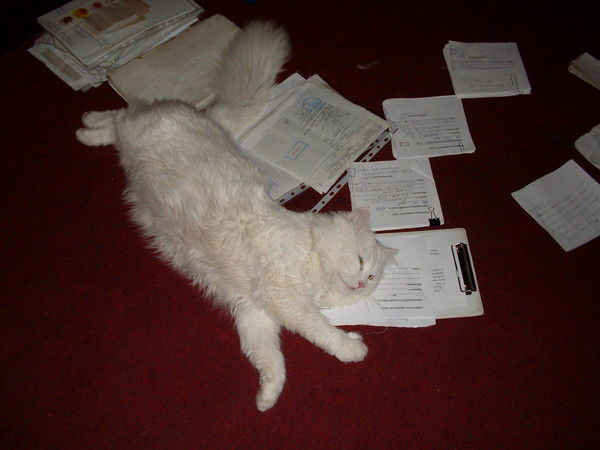 Евгений Захаров