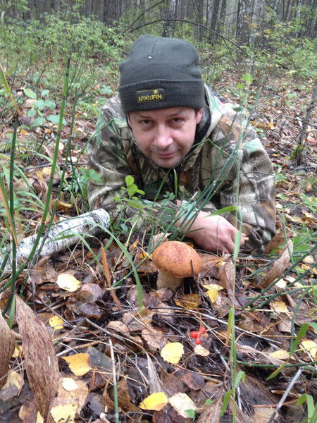 Дмитрий Курчатов