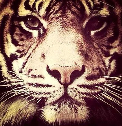 Анастасия Владимировна