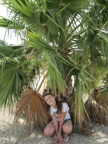 Елена Емельянова