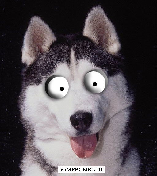 Илья Неважно