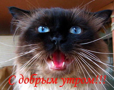 Сергей Иванов