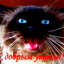 Сергей Иванов