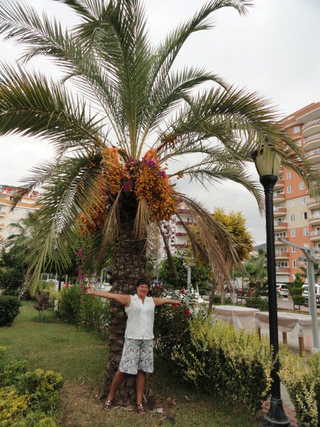 Юлия Вегера