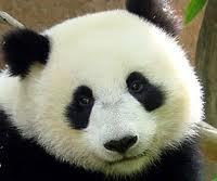 Любовь Зайкова (Юрина)