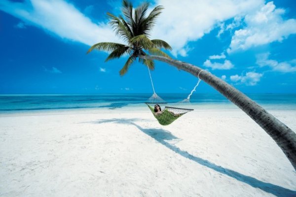 Елена Александровна