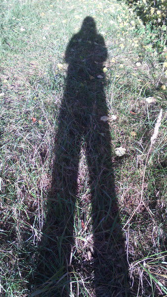 Ольга Чеберева