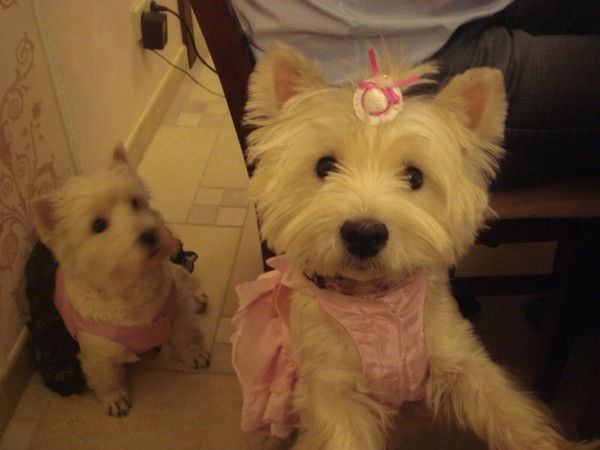 Неизвестно Неизвестно