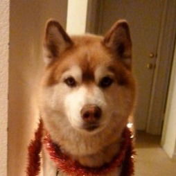 Настя Ларькович