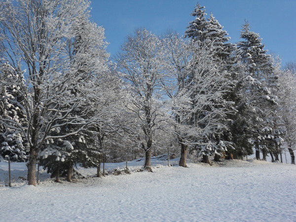 Неизвестно Неизвестно