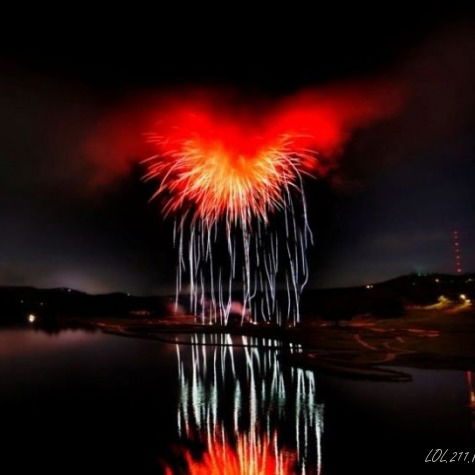 Елена Сверчкова