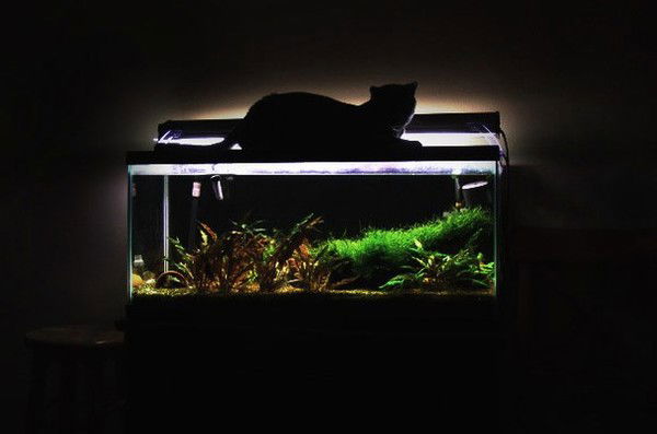 Екатерина Филиппенкова