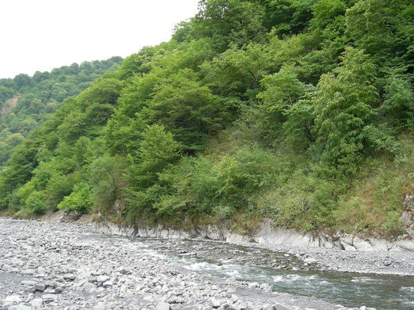 Вера Липина