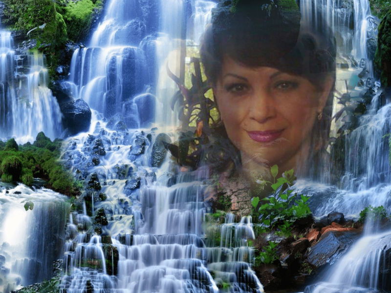 Елена Дмитриенко