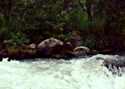 Ольчик Малыш