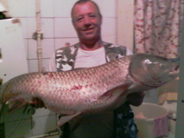 Владимир Нохрин