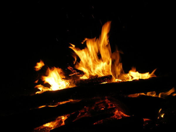 Александр Щипин