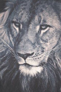 Жайнакбек Кенжебаев