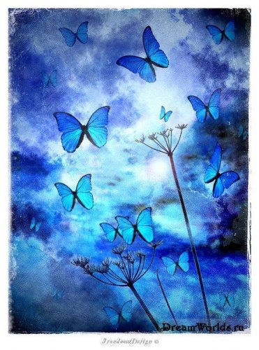 Регина Наумова