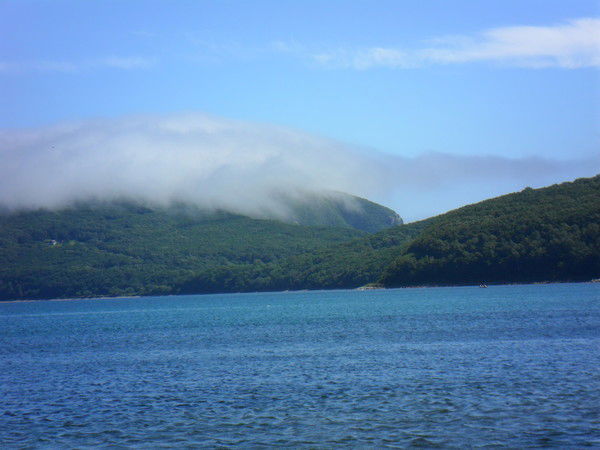 Вадим Степанцов