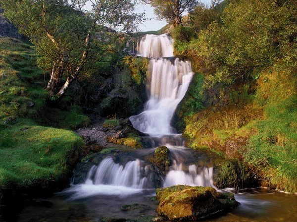 Наталья Фаркова