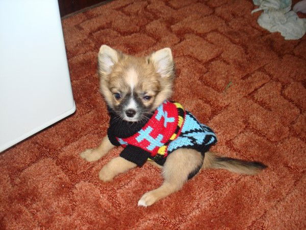 Виктория Муратшина