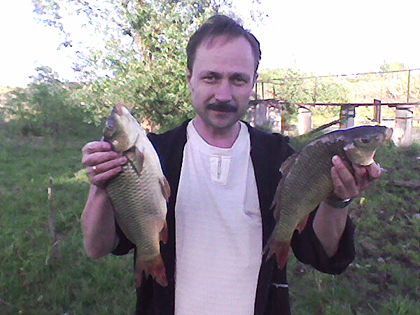 Константин Димитриев