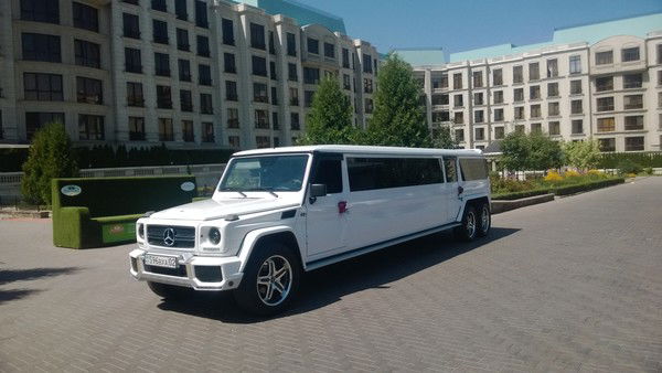 Николай Nslim.kz