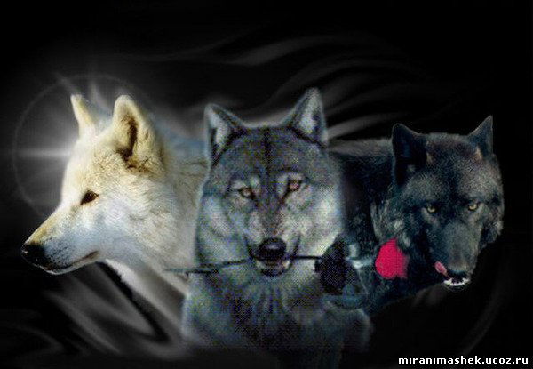 Нурдос Касенов