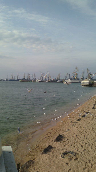 Максим Луничев