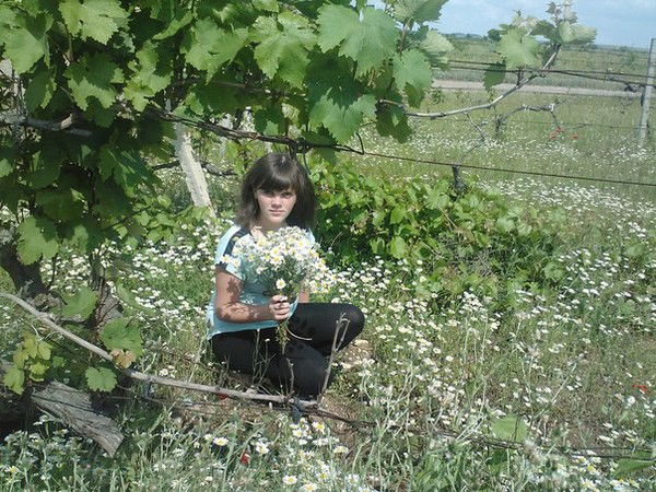 Светлана Бараненко