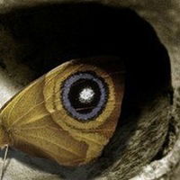 Полина Трохова