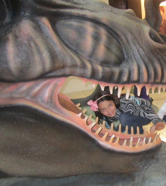 Софья Борозенко