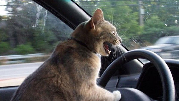 Жанна Тепсуева