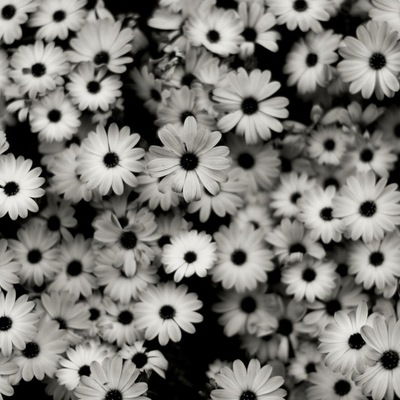 Юлия Шарапова