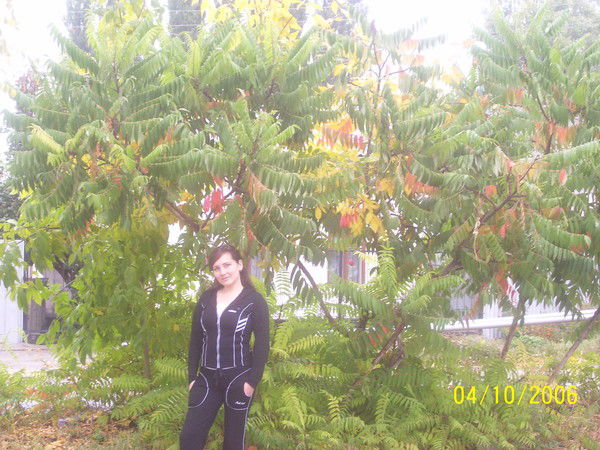 Анастасия Гибатдинова