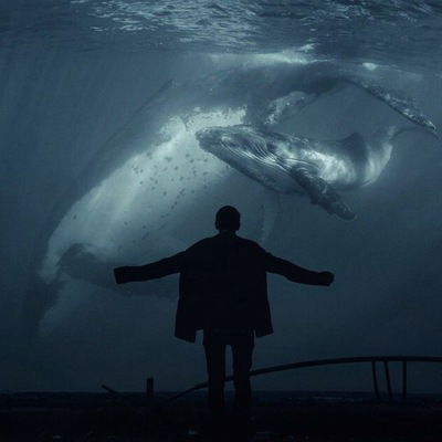 Аня Мирославская